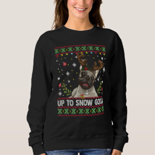 Sweatshirt Jusqu'À La Neige Bon Blanc Anglais Chien Chien Chi