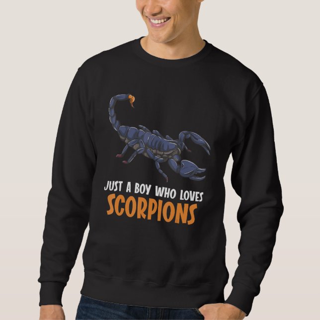 Sweatshirt Just a boy who loves Scorpions Scorpion (Devant)