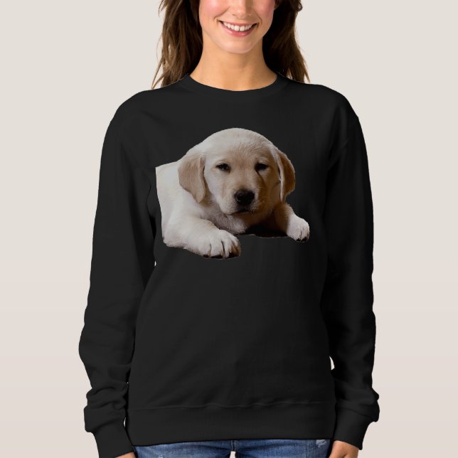 Sweatshirt Labrador Nap Time (Devant)