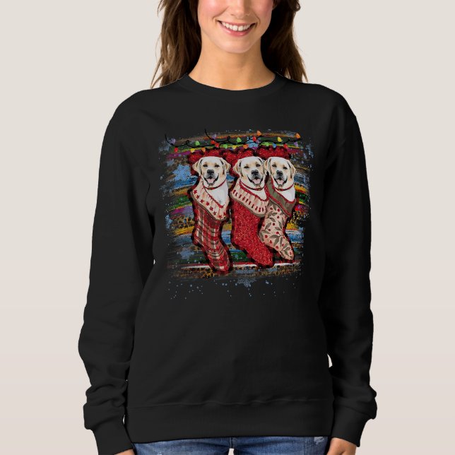 Sweatshirt Labrador Retriever Dans Chaussettes Chien (Devant)