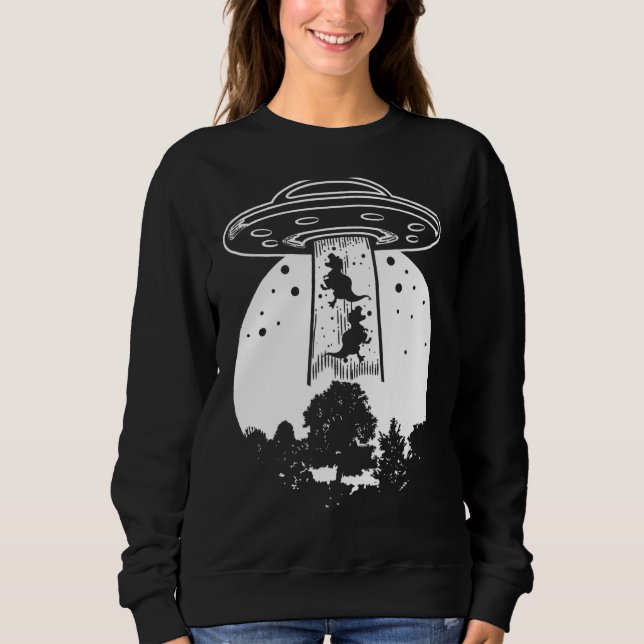 Sweatshirt Le Dernier Dinosaure Sur Terre 3 (Devant)
