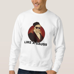 Sweatshirt Like a Gauss