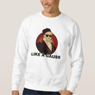Sweatshirt Like a Gauss