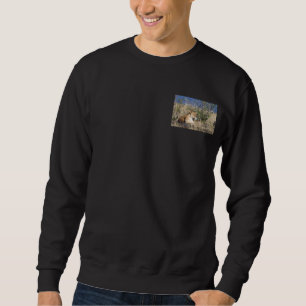Sweatshirt Lioness resting