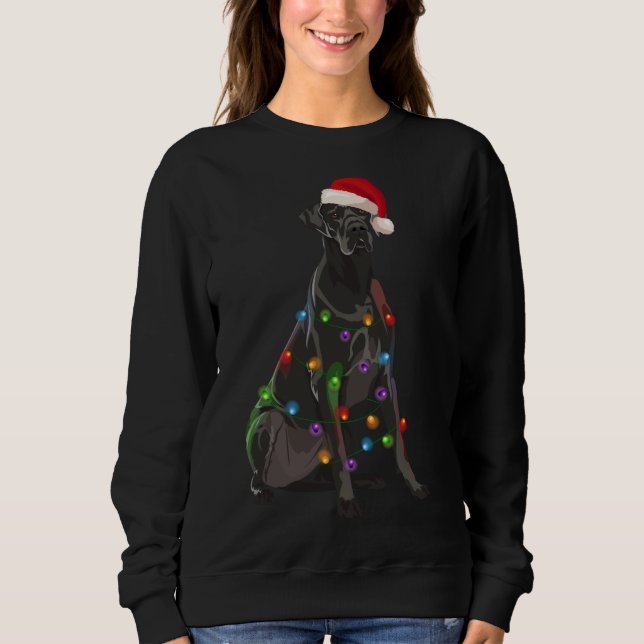 Sweatshirt Lumières de Noël des grands Danois Noël Amoureux d (Devant)