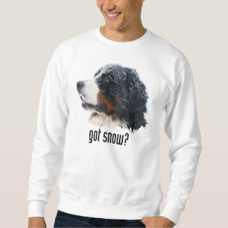 Sweatshirt neige obtenue ?