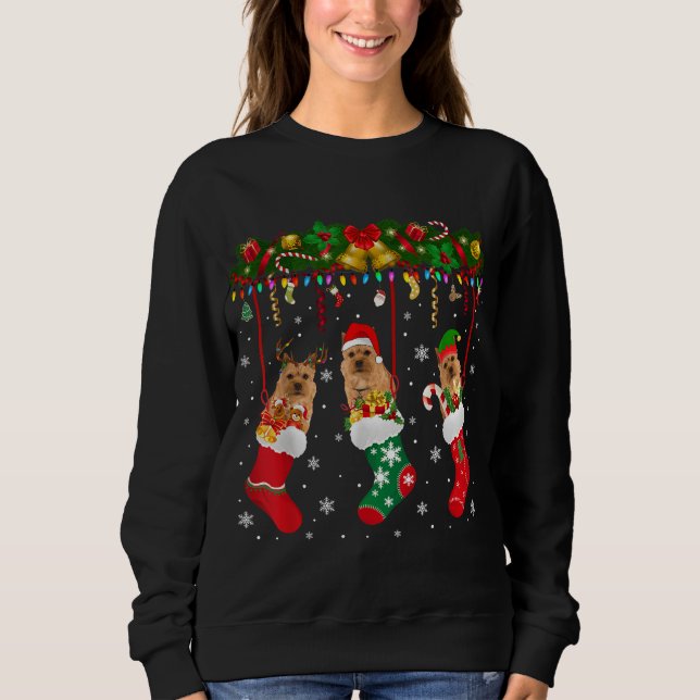 Sweatshirt Norwich Terrier (Devant)