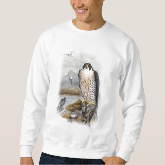 Sweatshirt Oiseaux de John Gould de faucon pérégrin de la