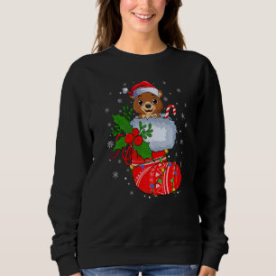 Sweatshirt Ours Grizzly Dans Chaussettes De Noël Père Noël Ou
