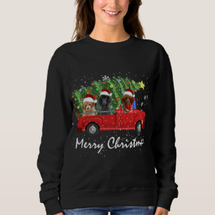 Sweatshirt Père Noël Poodle Riding Camion Rouge Joyeux Noël