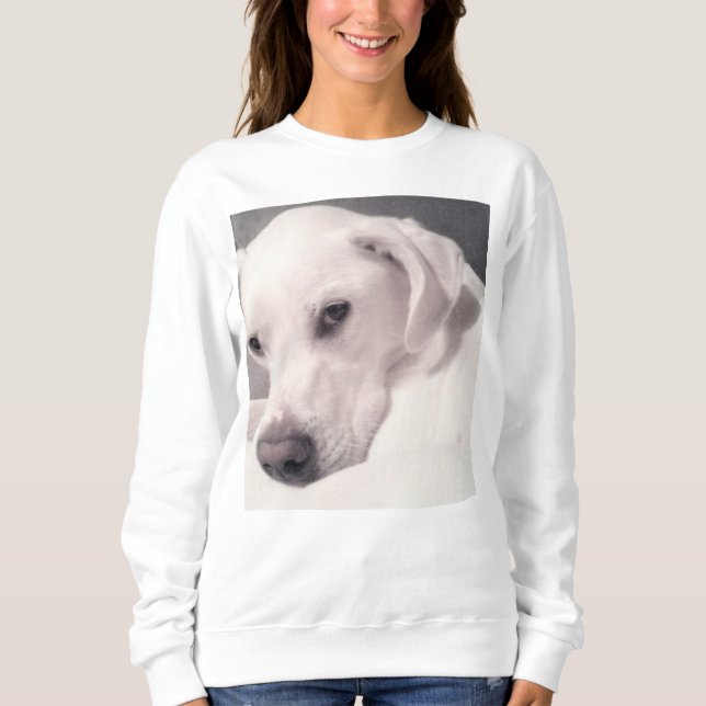Sweatshirt Photo du magnifique chien blanc de Regal (Devant)