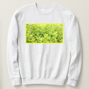 Sweatshirt Photo "Mint Plantes". Commandez dès maintenant 