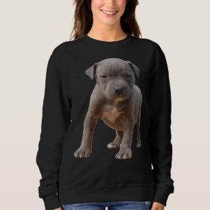 Sweatshirt Pitbull Puppy Power