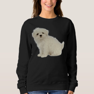 Sweatshirt Poodé Chien Maltais Chien Blanc Long Enrobé Chien