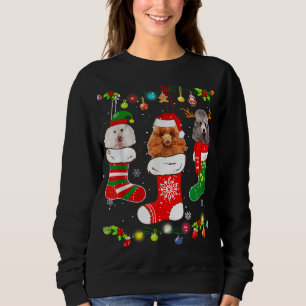Sweatshirt Poodle Chien feux de Noël Chien Chien Chien Chien