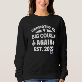 Sweatshirt Promoted To Big Cousin Again 2023 Gender Reveal Pi