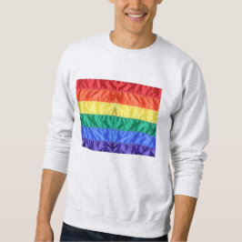 Sweatshirt Rainbow Flag Gay pride LGBTQ L'amour LGBT