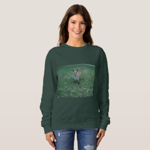 Sweatshirt Renard rouge au parc des Chênes de Thousand à Sa