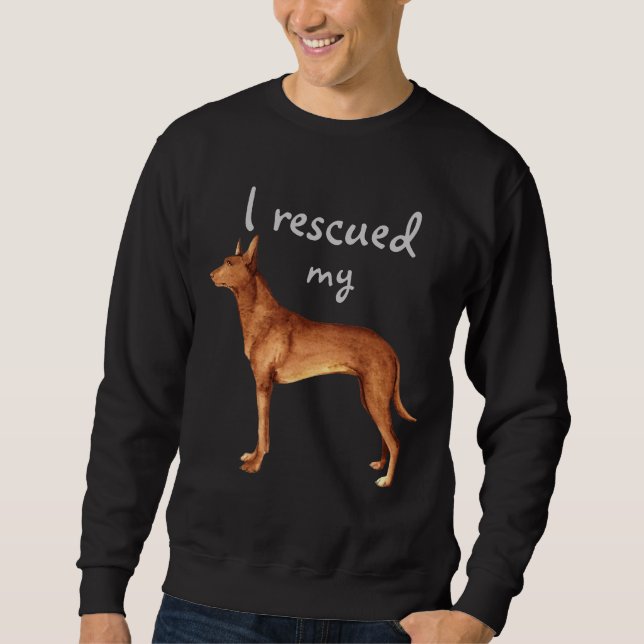 Sweatshirt Secourir Pharaon Hound (Devant)