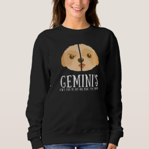 Sweatshirt SIGNE Gemini Zodiac Faits Sarcastique Chien Horosc