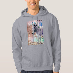 Sweatshirt Sweat - shirt à capuche Shadow Shoni