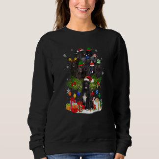Sweatshirt Terre-Neuve Les lumières des arbres de Noël Drôle 