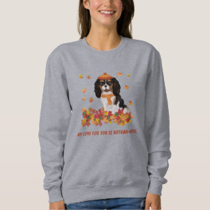 Sweatshirt Tri personnalisé Cavalier couleur SpanielSweat