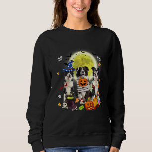 Sweatshirt Trois Chiens Border Collie Sorcière Mummy Effrayan
