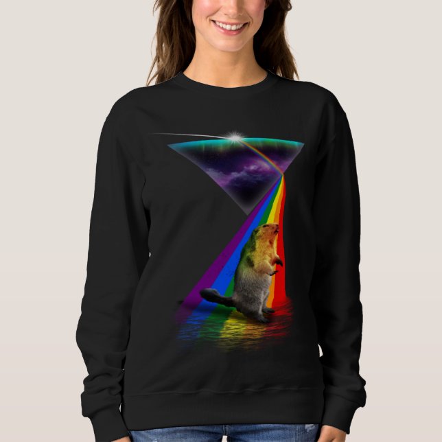 Sweatshirt Vintage Retro Prism Marmot (Devant)