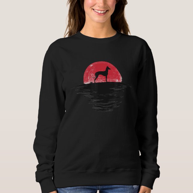 Sweatshirt Xoloitzcuintli Xolo Japanese Sunset Retro Dog Red (Devant)