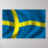 Swedish Flag