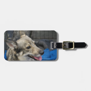 swedish-vallhund-2.jpg gepäckanhänger