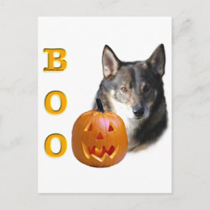 Swedish Vallhund Boo Postkarte