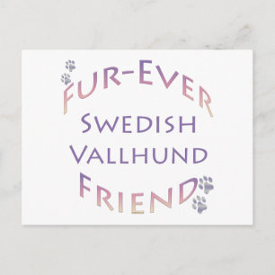 Swedish Vallhund Furever Friend Postkarte