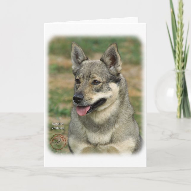 Swedish Vallhund Karte (Vorderseite)