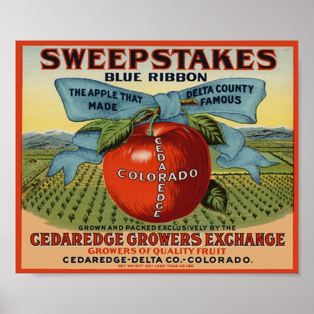 Sweepstake Fruchtkästen-Label-Plakat Poster (Vorne)