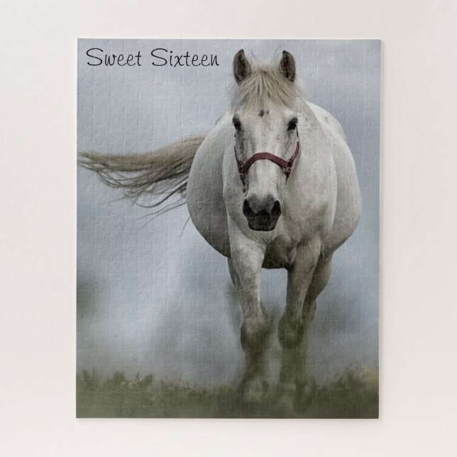 Sweet 16 Geburtstag. (Vertikal)