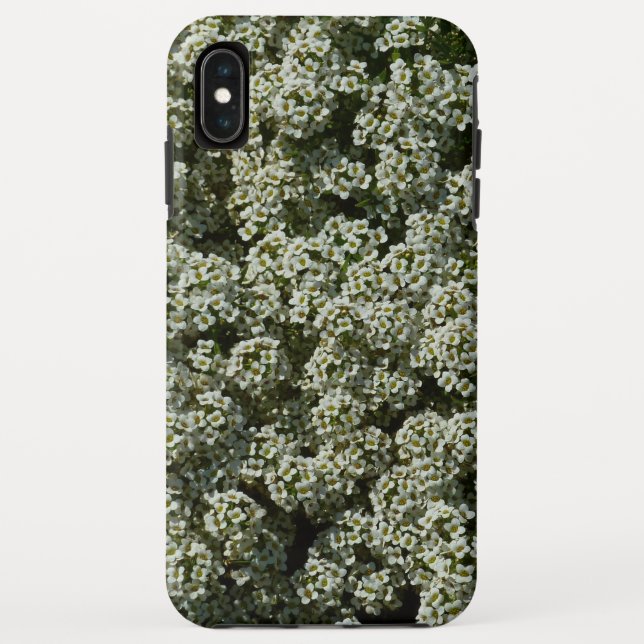 Sweet Alyssum Blume Weiße Blüte Case-Mate iPhone Hülle (Rückseite)