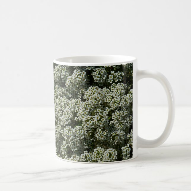 Sweet Alyssum Blume Weiße Blüte Kaffeetasse (Rechts)