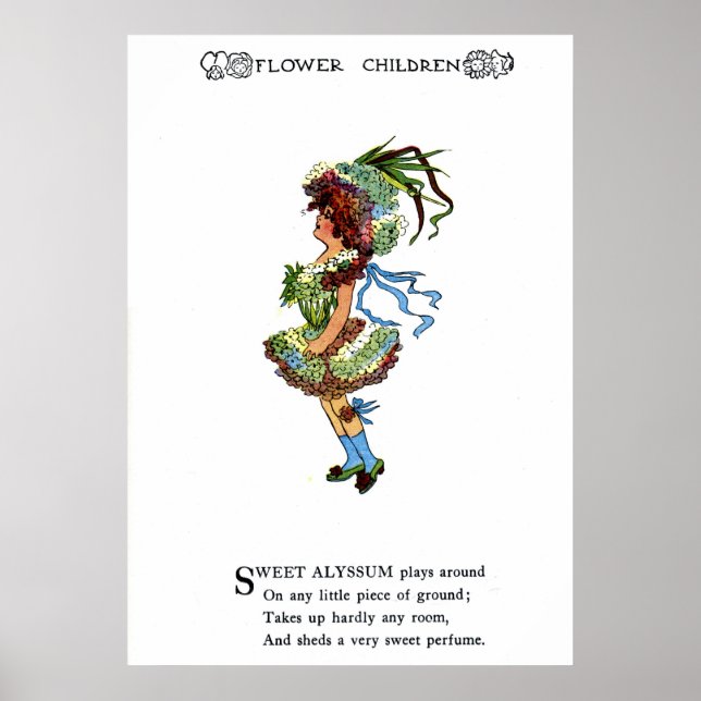 Sweet Alyssum Poster (Vorne)