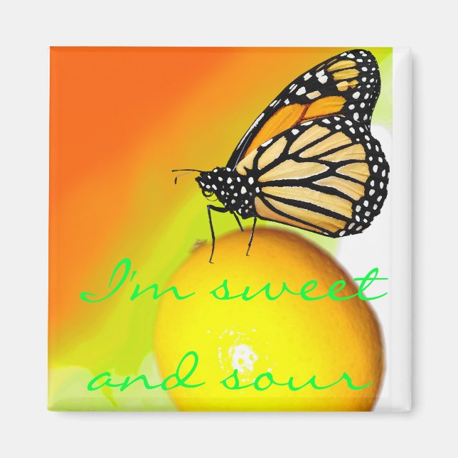 Sweet and Sour Magnet (Vorne)