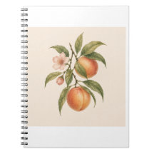 Sweet as a Peach | Vintage Peach Botanical Design