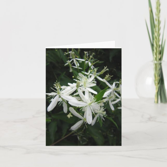 Sweet Automne Clematis Photo Plaqué Carte de note (Devant)