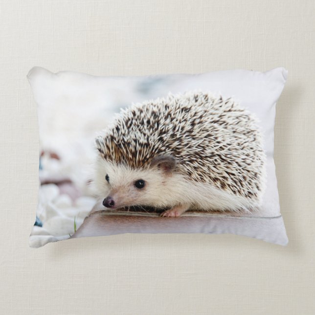 Sweet Baby Igel Zierkissen (Vorderseite)