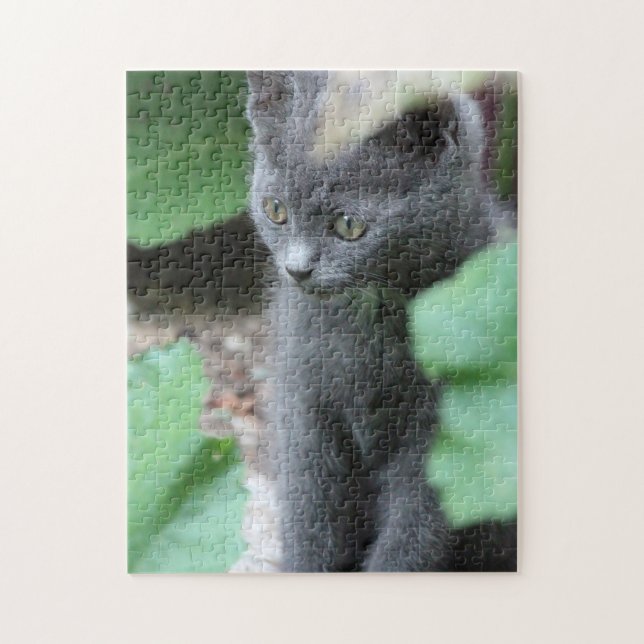 Sweet Baby Kitten Puzzle (Vertikal)