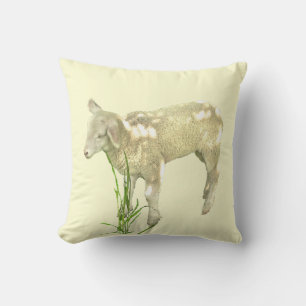 Sweet Baby Lamb auf gelbem Kissen im Freien