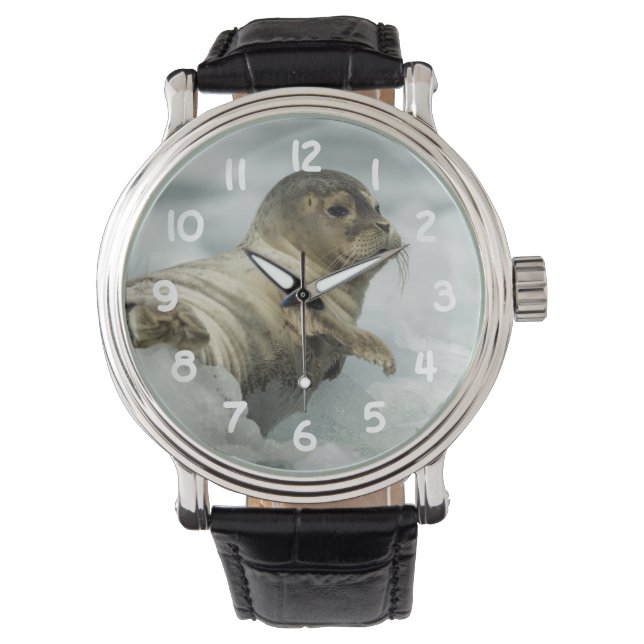 Sweet Baby Siegel Armbanduhr (Vorderseite)