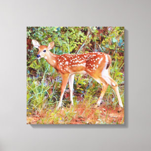Sweet Baby Wild Deer Fawn Leinwand Print