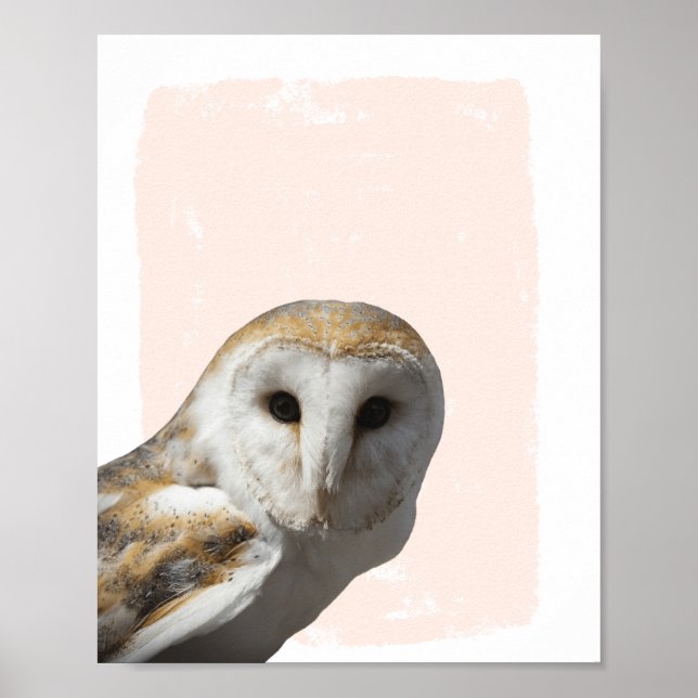 Sweet Barn Owl Kinderzimmer Poster (Vorne)