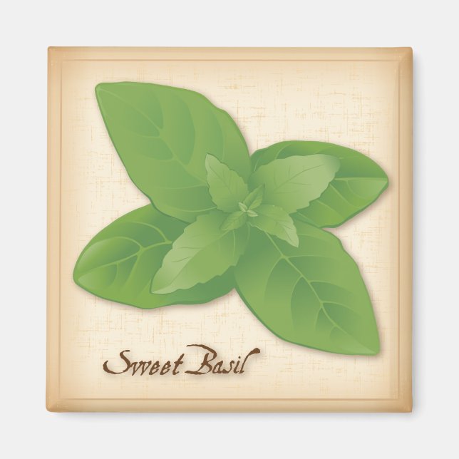 Sweet Basil Herb Magnet (Vorne)